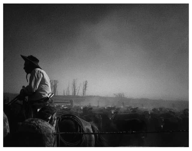 Mercedes Gaucho Country - Image 1