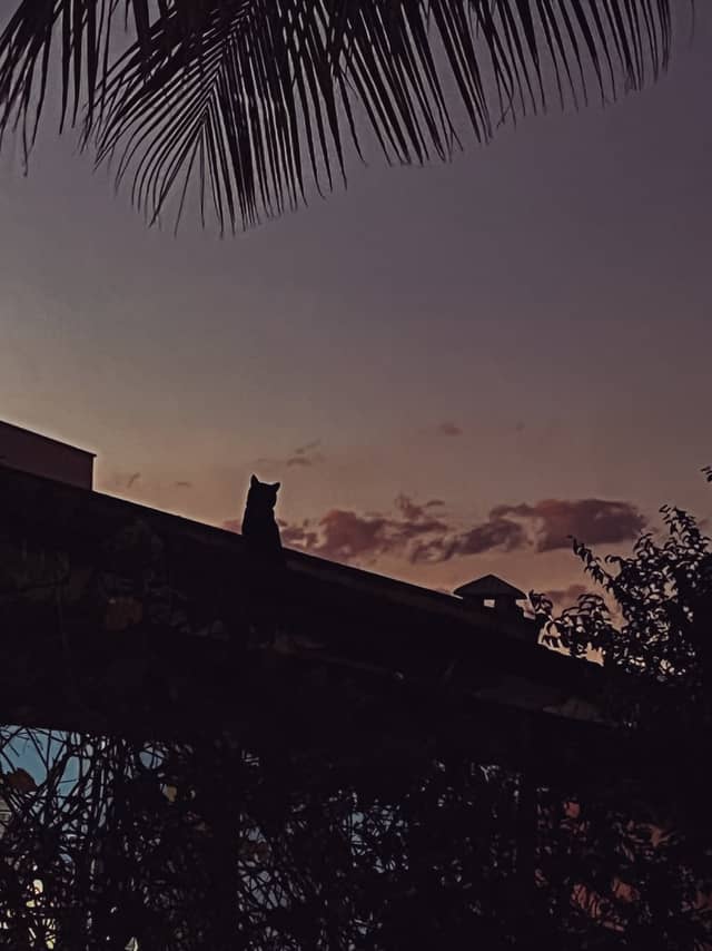 Uberlândia Rooftop Sunset - Image 1