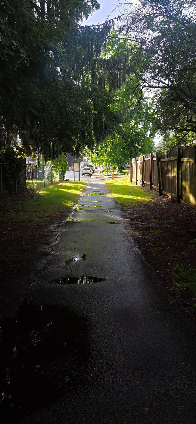 Washougal Residential Path - Image 1