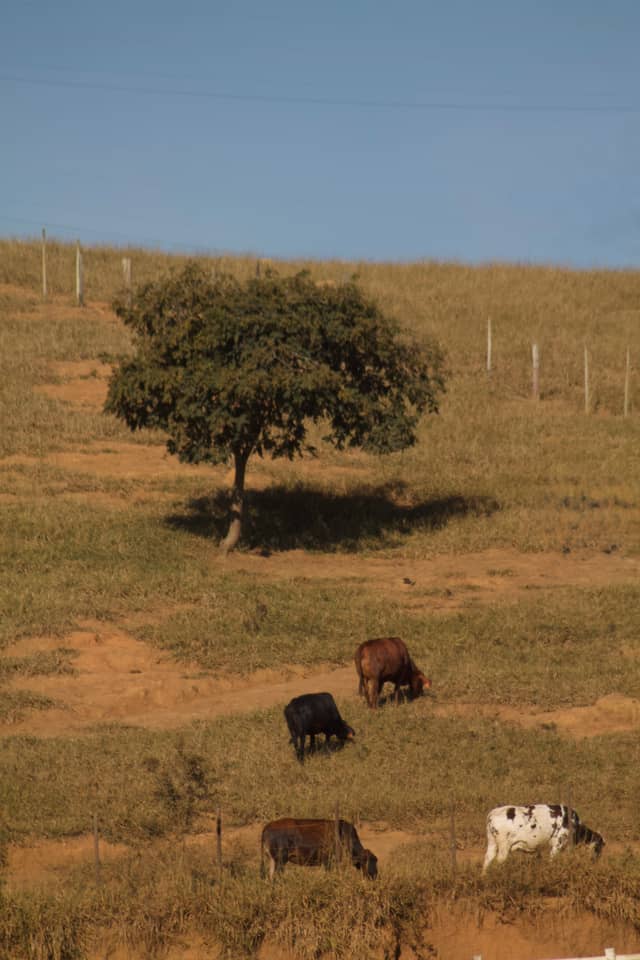 Ipatinga Rural Hillsides - Image 1