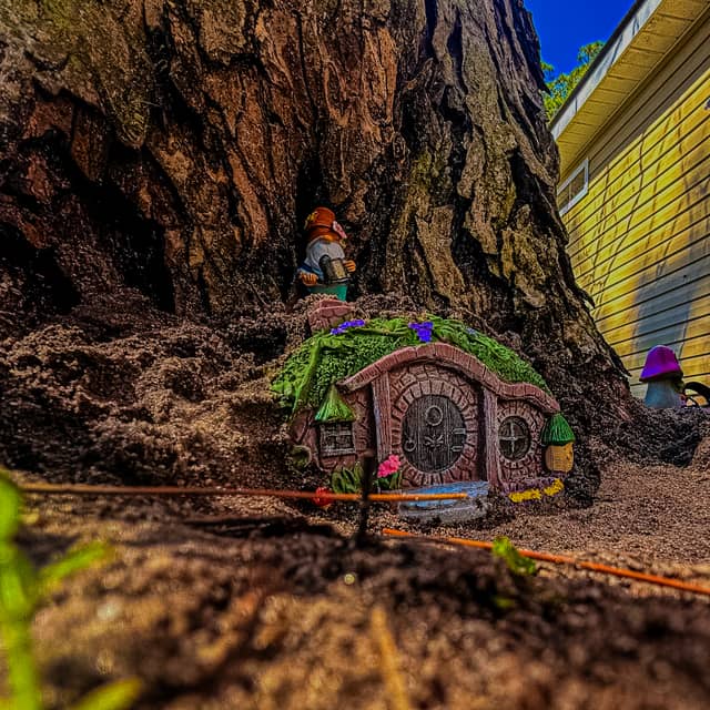 Whimsical Tree Garden in Adel - Image 1