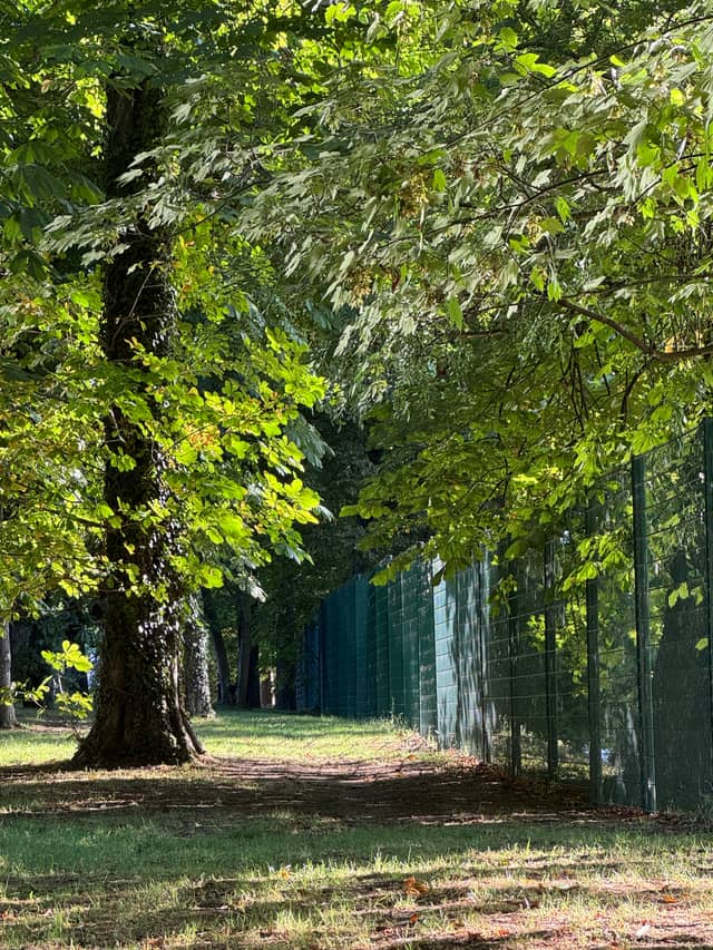 Île de Puteaux Park Path - Image 1