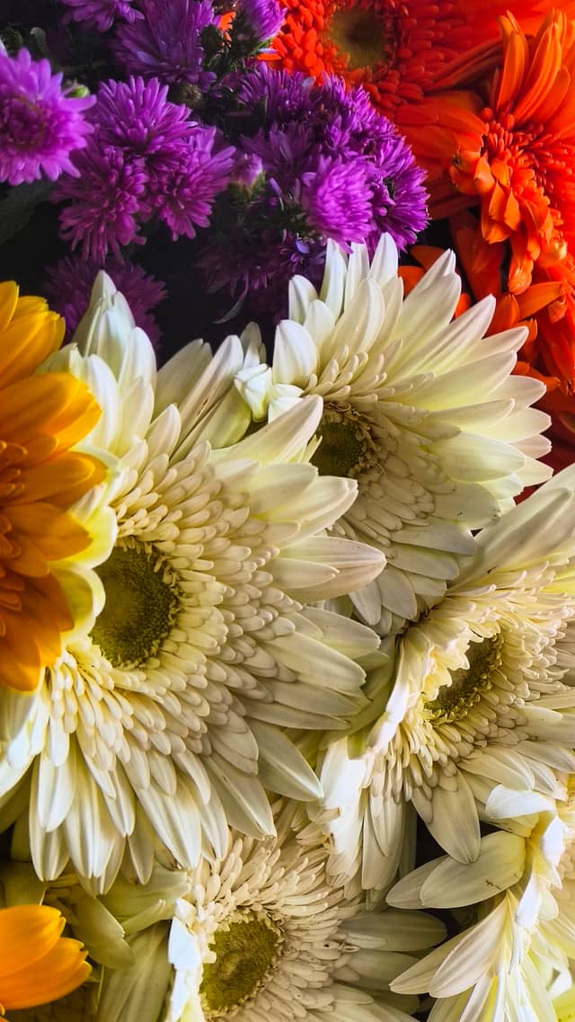 Mumbai Flower Market Display - Image 1