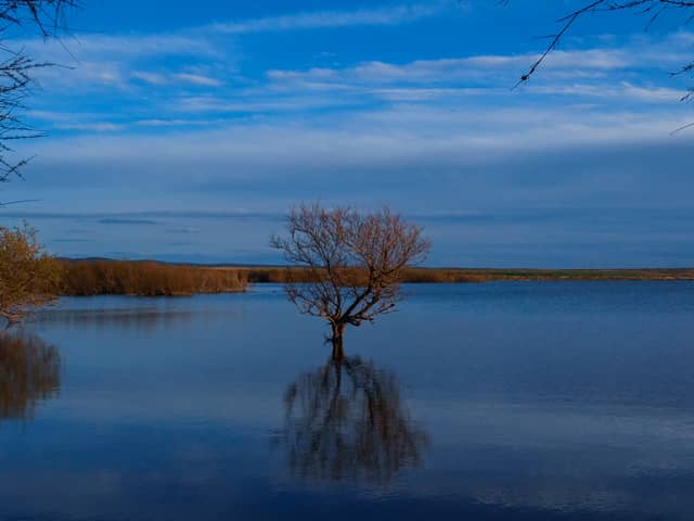 Dar Chioukh Wetland - Image 1