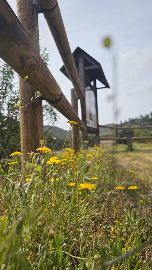 Berrocal Nature Trail - Image 1