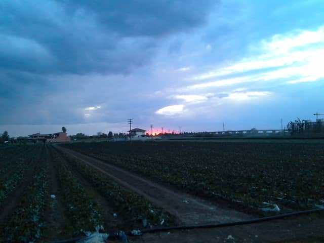 Villa Literno Farmlands - Image 1