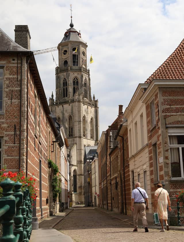 St. Gummarus Church from Vredebergstraat - Image 1