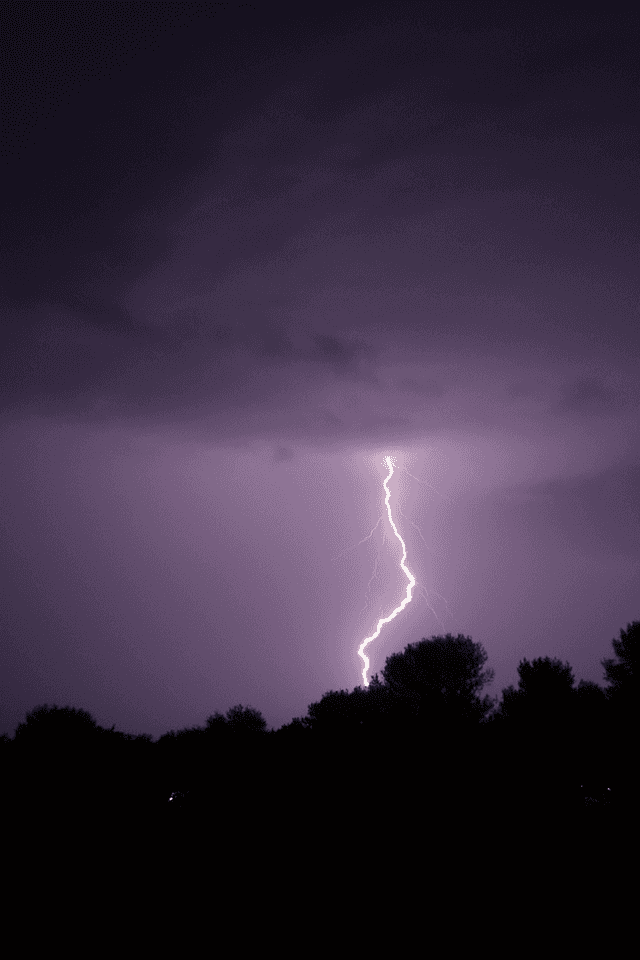 Landes Forest Storm View - Image 1