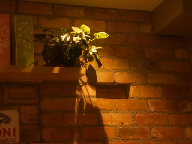 Winnie's Gourmet Pizza Bar - Image 1