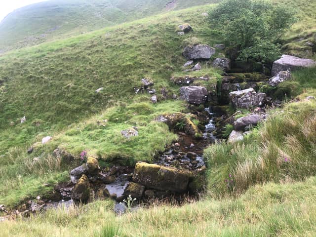 Black Mountain Stream, Brecon Beacons - Image 1