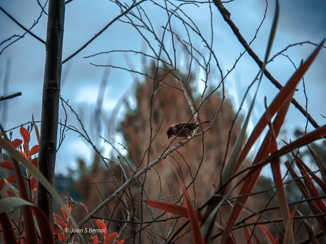 Sesquilé Nature Trails - Image 1