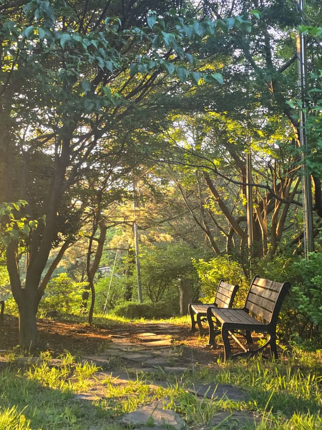 Millak-dong Hillside Park - Image 1