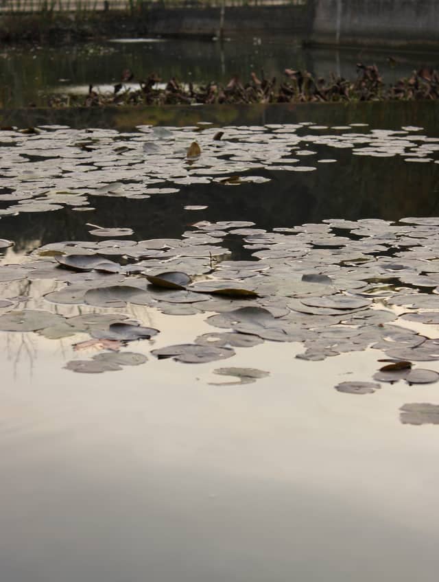 Parque Bicentenario - Image 1