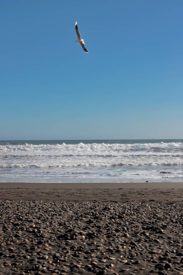 Chilean Pacific Coastline - Image 1