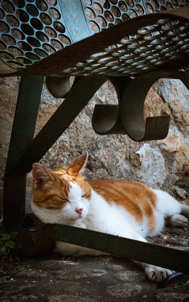 Villefranche-de-Conflent Medieval Village - Image 1