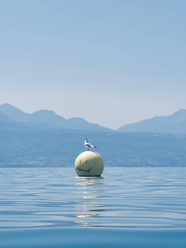 Lake Geneva Smiley Buoy - Image 1