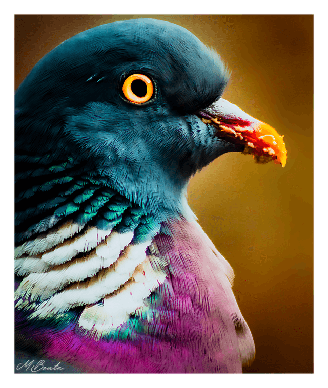 Kortrijk Urban Wildlife Spot - Image 1