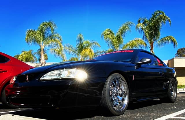 Poway Palm Tree Parking - Image 1