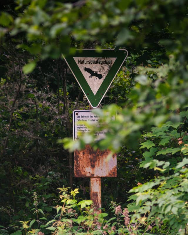 Waldauer Kiesteiche Nature Reserve - Image 1