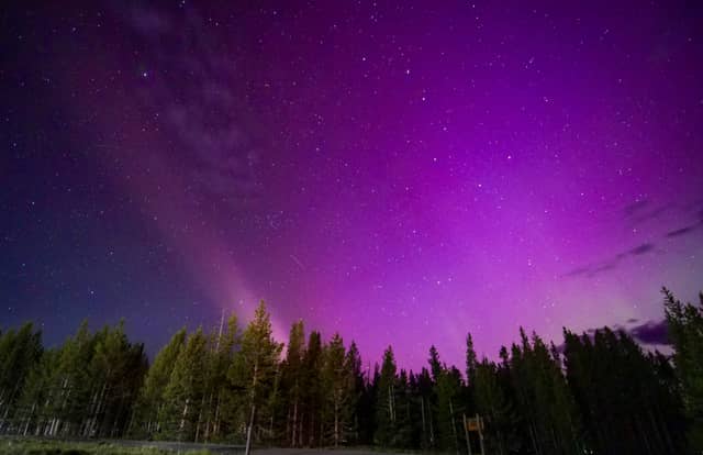 Grant Village, Yellowstone National Park - Image 1