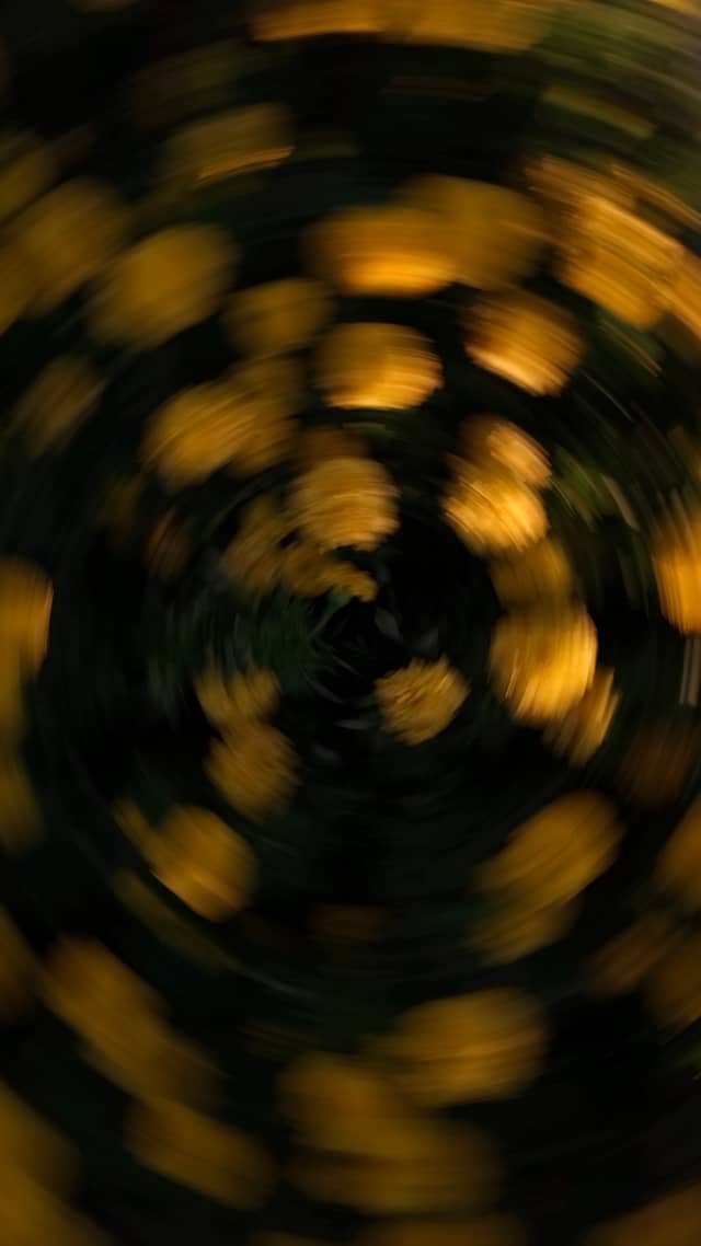At-Ta'mim Garden Abstract - Image 1