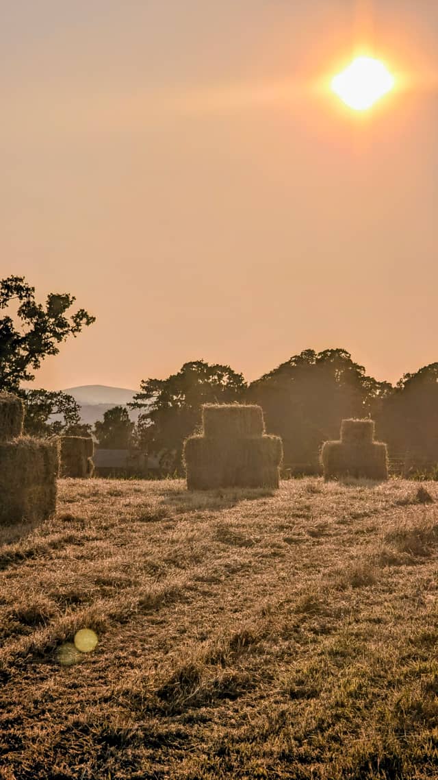 Vale of Clwyd Farmland - Image 1