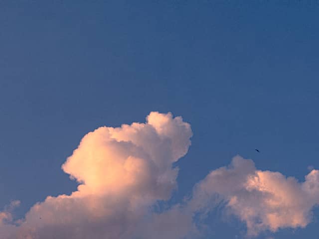 Linz Sky Overlook - Image 1