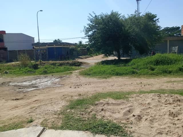 Santa Cruz Suburban Streetscape - Image 1