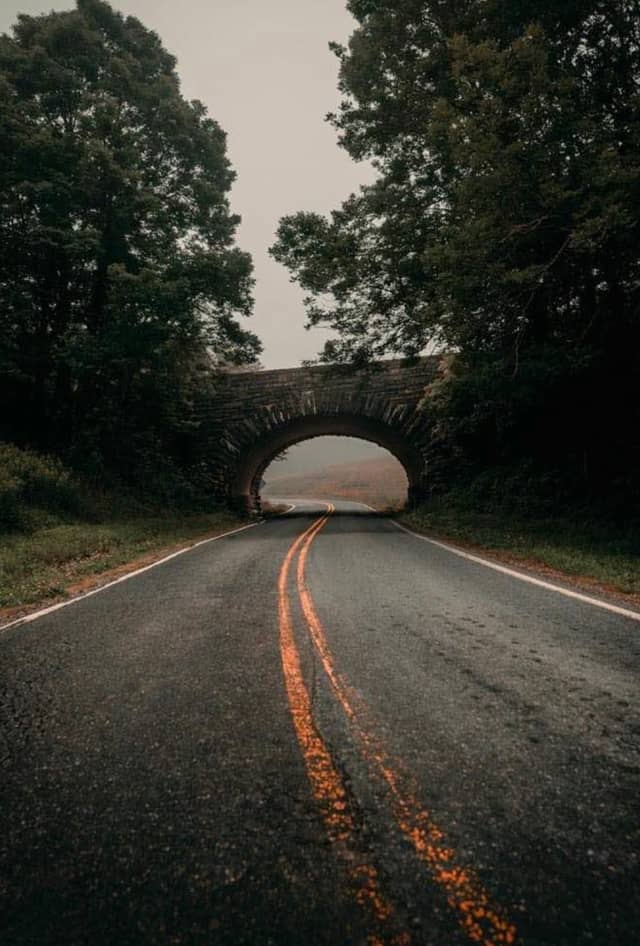 Stone Arch Forest Roadway - Image 1