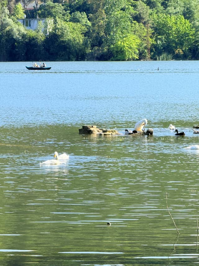 Boğazkaya Lakefront - Image 1