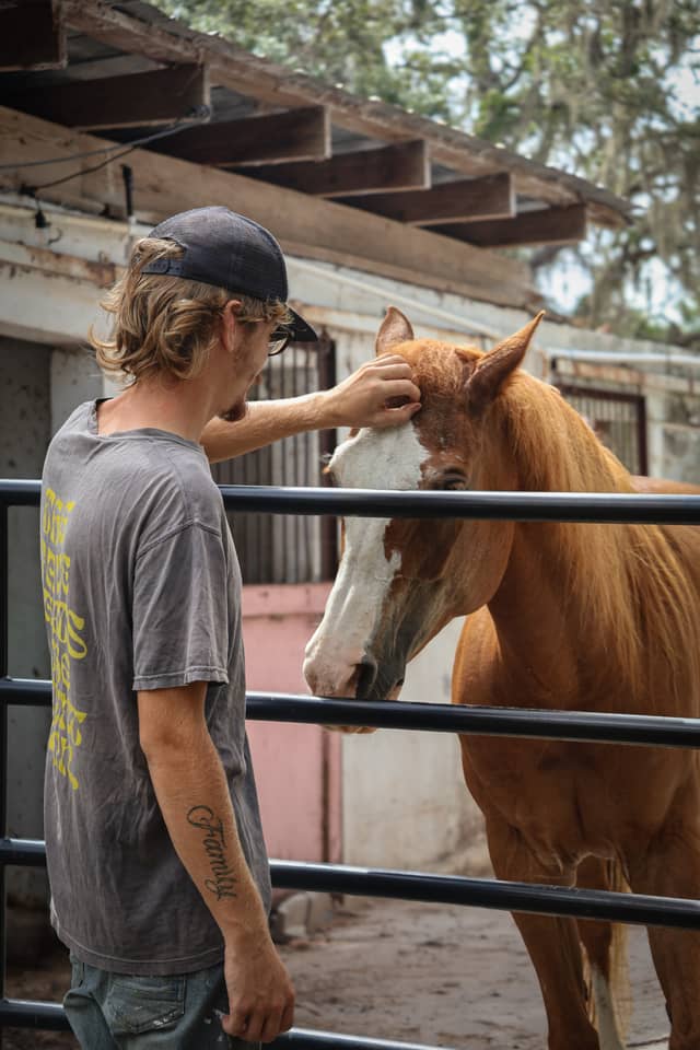 New Port Richey Horse Stables - Image 1
