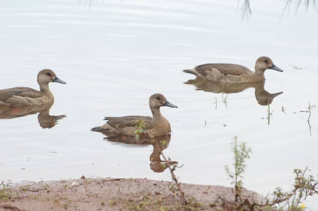 Três de Maio Lakeside - Image 1