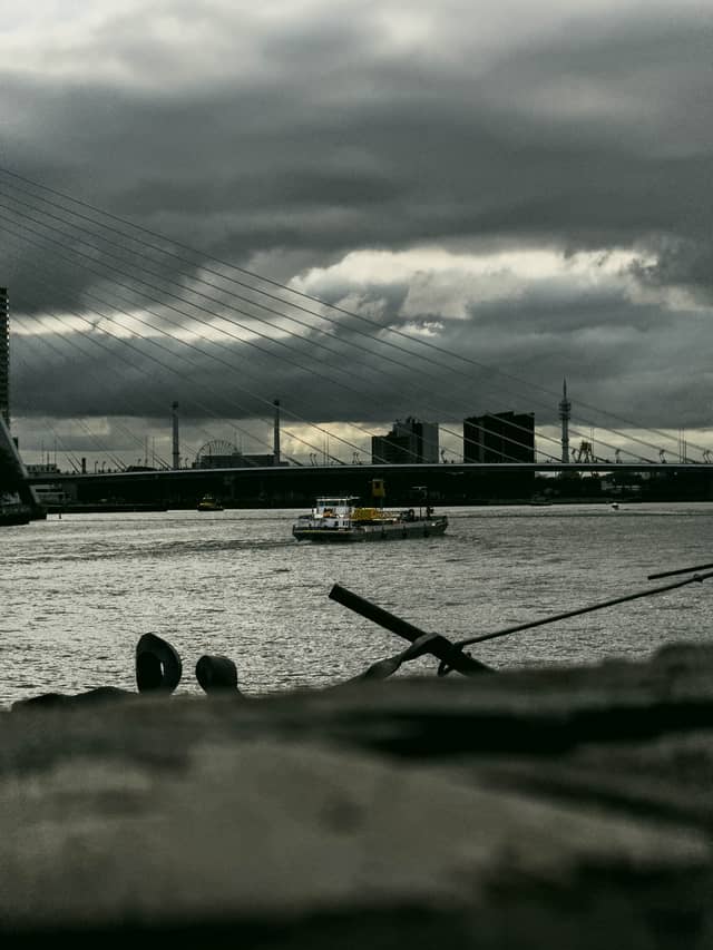 Erasmus Bridge from Boompjeskade - Image 1