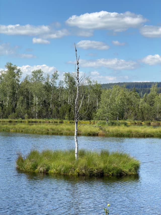 Chalupská slať - Image 1