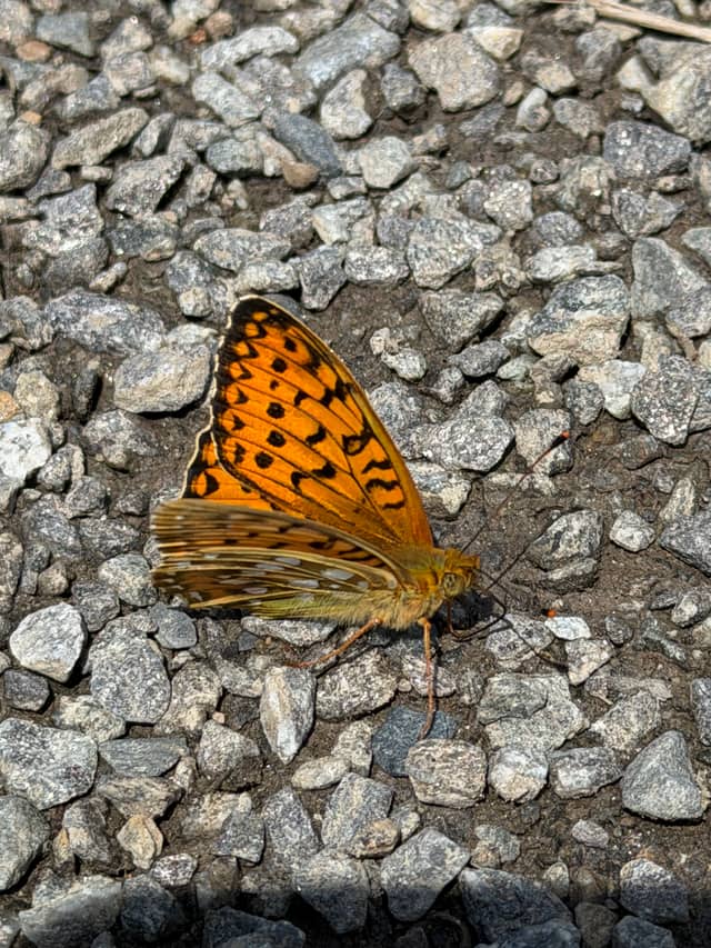 Šumava National Park - Modrava Trails - Image 1