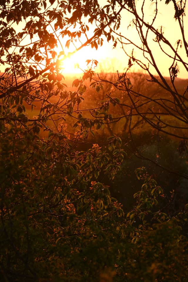 Kojetice Countryside Sunset - Image 1