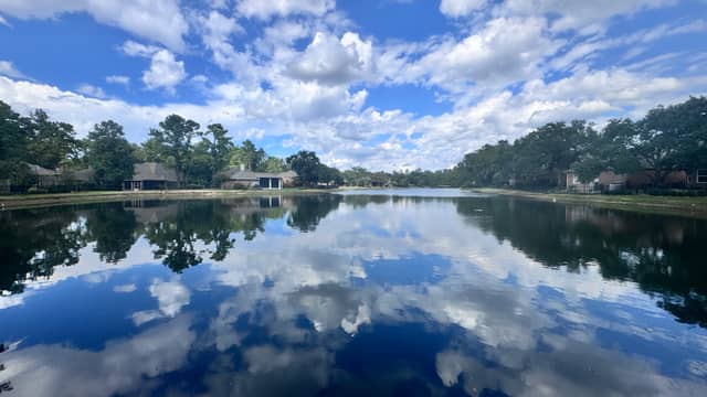 Elkins Lake Waterfront - Image 1