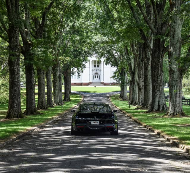 Oak Hill & The Martha Berry Museum Driveway - Image 1