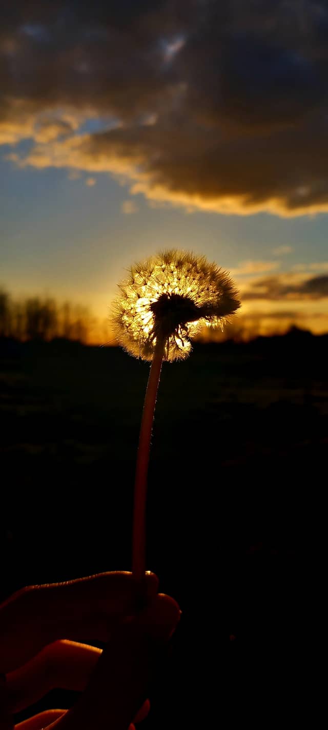 Tatabánya Sunset Fields - Image 1
