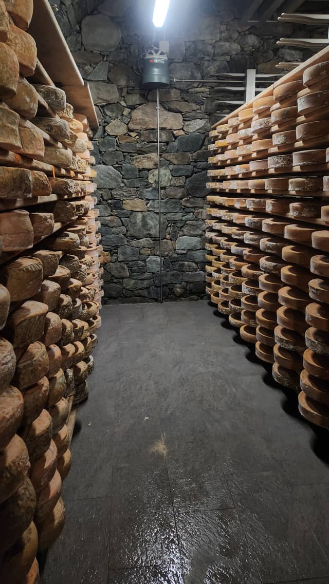 Fontina Cheese Aging Cellar - Image 1