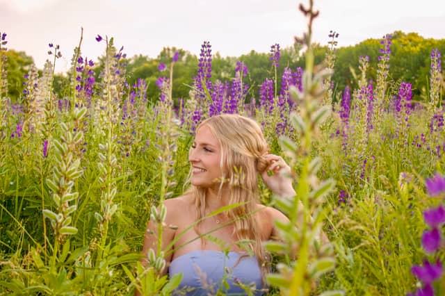 Richmond Lupine Fields - Image 1