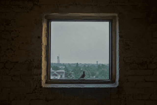 Kasur Brickwork Window - Image 1