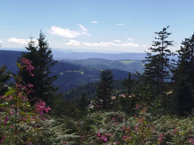 Black Forest High Road Overlook - Image 1