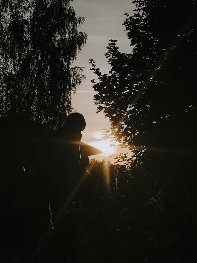 Jaworzno Sunset Garden - Image 1