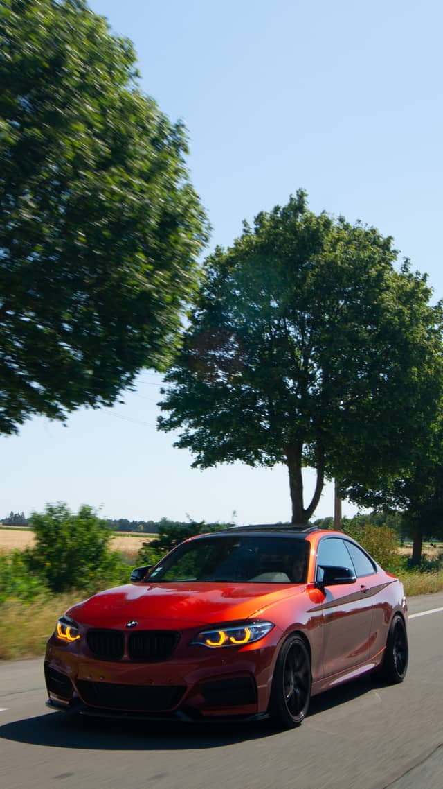 Allée Du Cardo Country Road - Image 1