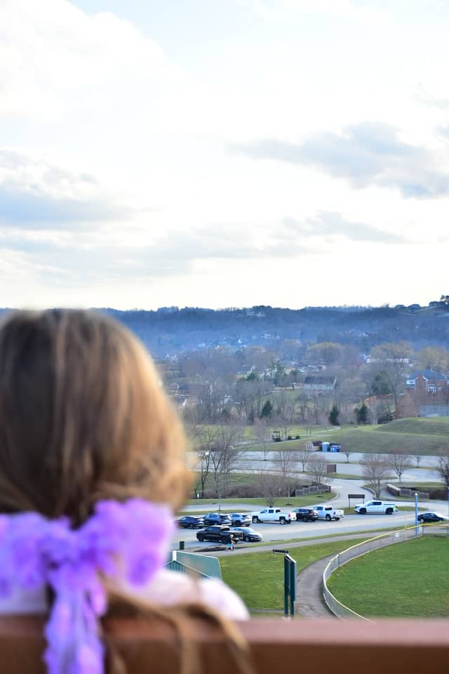 Murrysville Hillside Overlook - Image 1