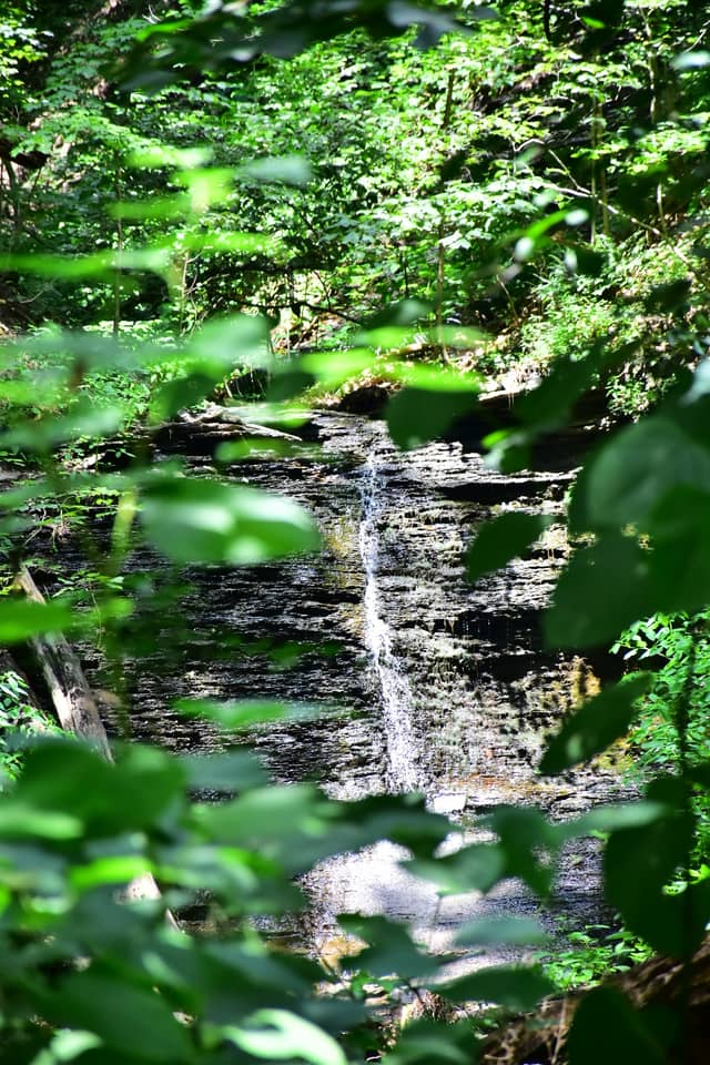 Urick Lane Woodland Cascade - Image 1