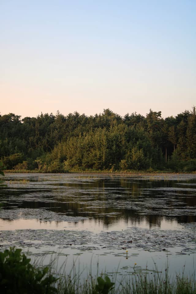 Pohatcong Lake - Image 1