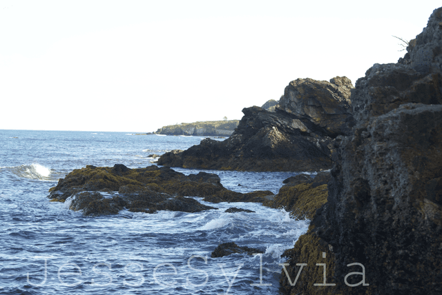 Newport Cliff Walk at Seaview Avenue - Image 1