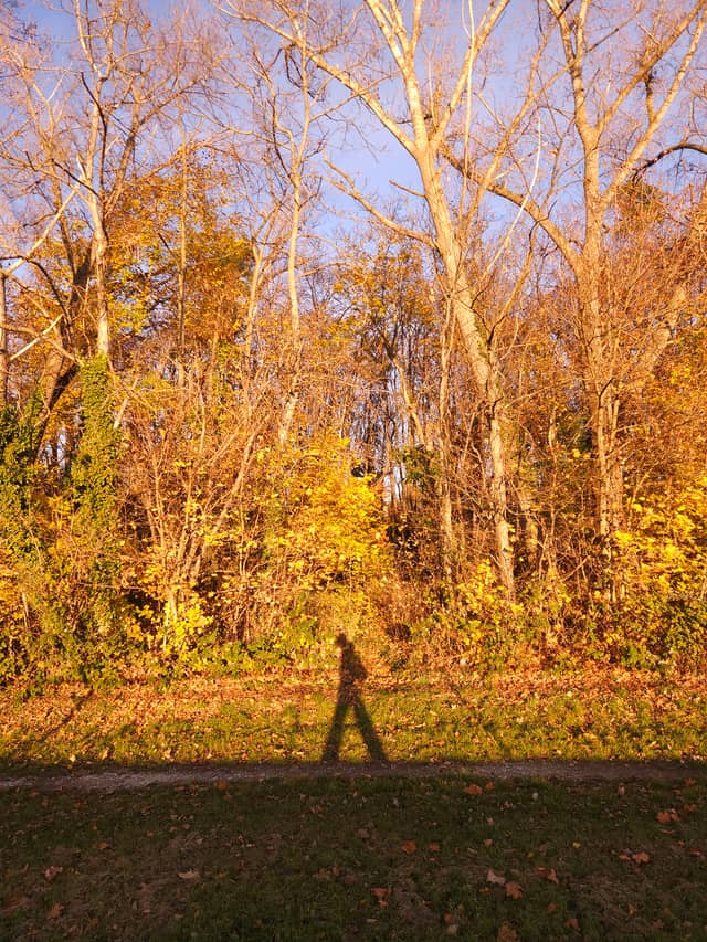 Mestský Park na Sihoti - Image 1